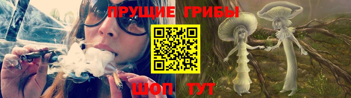 Галлюциногенные грибы Psilocybine cubensis Южноуральск